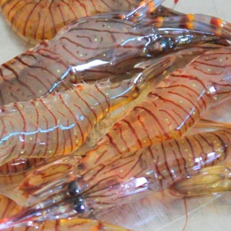 camarón fresco de Galicia